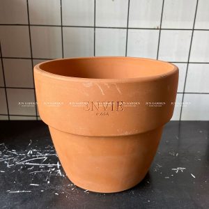 gờ basic envie