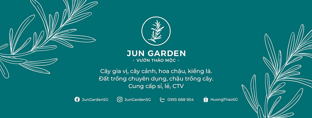 Jun Garden - Vườn Thảo Mộc